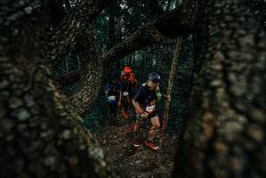 BIB: 
                            <button type="button" onclick="openModal(25687688)" class="btn btn-primary btn-sm float-right btn-popup" data-toggle="modal" data-target=".modal-high-quality">
                        <i class="fas fa-shopping-cart"></i> Add to Cart
                    </button>
                                            <button type="button" onclick="isThisMe(25687688, true)" class="btn btn-success btn-sm float-right btn-popup btn-isme hidden" data-toggle="tooltip" data-placement="bottom" title="นี่คือรูปของคุณใช่ไหม คลิกที่นี่เพื่อเอาเข้าอัลบั้ม">
                        <i class="fas fa-plus"></i> Add to album
                    </button>
                    <button type="button" onclick="isThisMe(25687688, false)" class="btn btn-warning btn-sm float-right btn-popup btn-isnotme hidden">
                        <i class="fas fa-ban"></i> Remove from album
                    </button>